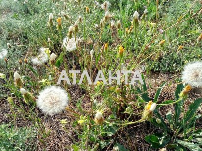 Небольшой участок под садоводство в Нерубайском!