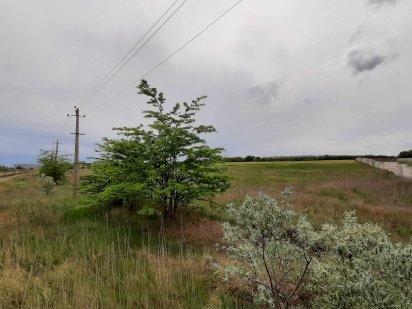 Участок 120 соток под склады, производство, на въезде в Одессу Світле