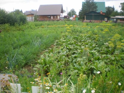 Продажа участка в Сухом лимане 5 соток от Собственника! Срочно!