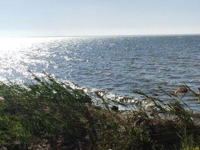 Продам участок над лиманом в Овидиополе Овідіополь