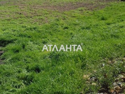 Участок 6 сот.. Усатово.