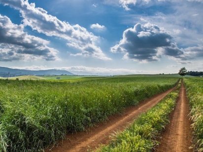 Продам свой участок, 1 га, с.Красноселка, Лиманский р-н, Одесская обл Красноселка