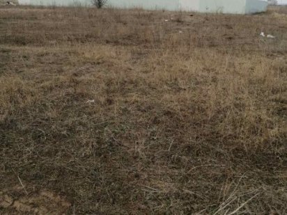 Продажа земельного участка Красноселка Красноселка