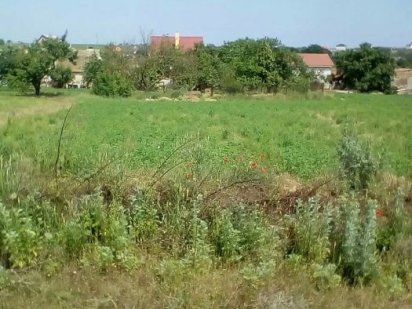 Цена за 8 соток. Продам участок с. Санжейка Санжейка