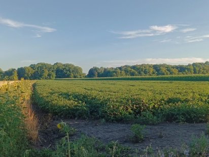 Земельна ділянка сільськогосподарського призначення Гадяч