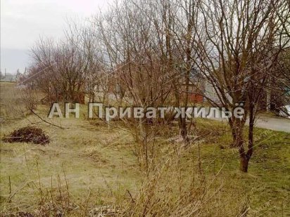 Земельна ділянка в Розсошенцях Розсошенцы