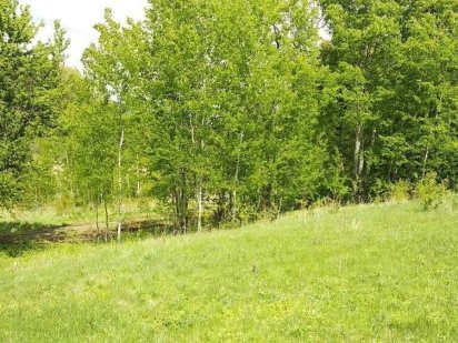 Чудова пропозиція. Земельна ділянка у місті Розсошенцы