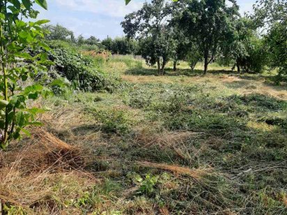 Земля, ділянка Супрунівка до 30 соток ТОРГ Супрунівка