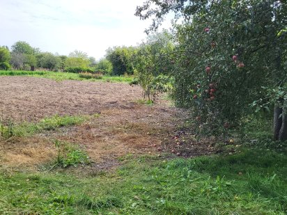Земельна ділянка (огород) на Рибцях СТ КАЛИНА Гожулы