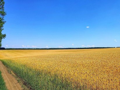 Пай 2,8 га. в Полтаві. Гожули