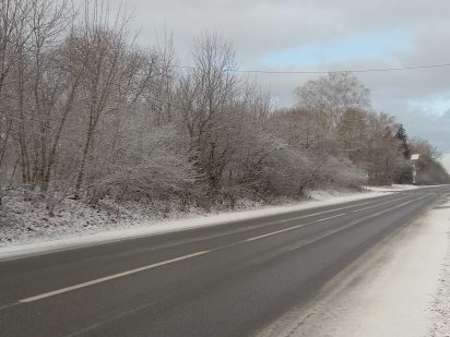 Земельна ділянка 0.50 га.(+0.13га) Острог