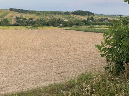 Продам ділянку/землю в с. Колоденка Колоденка