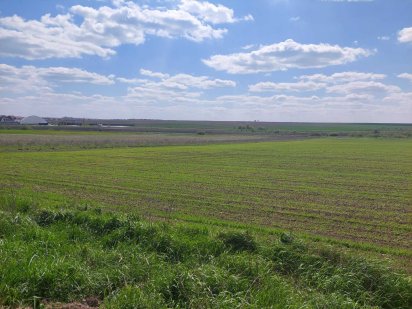 Продам пай с. Колоденка біля дороги Київ-Чоп Колоденка