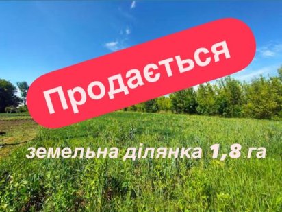 Земельна ділянка біля траси Київ-Чоп