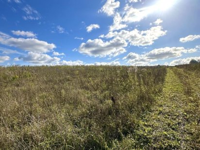 ПРОДАЖ‼️ЗЕМЕЛЬНА ДІЛЯНКА‼️Земля. Земельні ділянки‼️с.Велика Омеляна