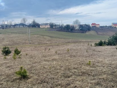 Продаж / Земля під інд. будівництво / Великий Житин Великий Житин