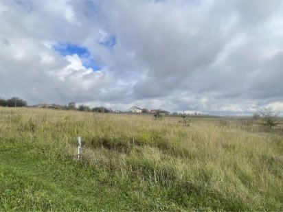 Продаж ділянки в с.Великий Житин Великий Житин