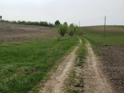 Земельна ділянка