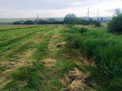 Земельна ділянка Петриків