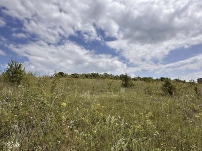 Продаж земляної ділянки під житлову забудову на В.Чорновола 0.16га Байківці