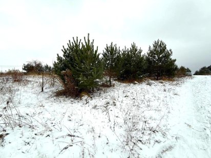 Продається земельна ділянка в пригороді Тернополя. Байківці