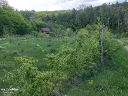 Земельна ділянка Теребовля