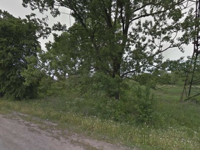 Продаж ділянки 0,50га м.Бучач