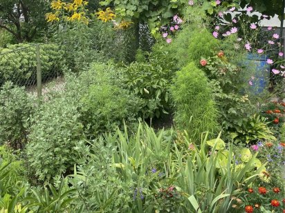 Продам землю Богодухов