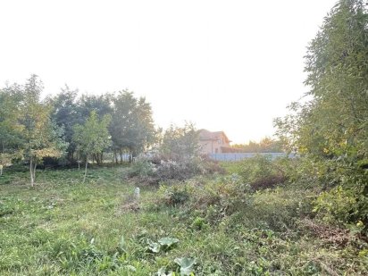 Продаж земельної ділянки Лісові Гринівці