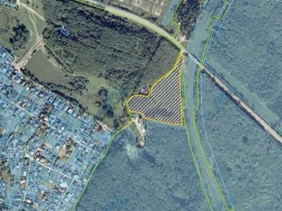 Продаж земельної ділянки 2,645 га біля лісу, перша лінія