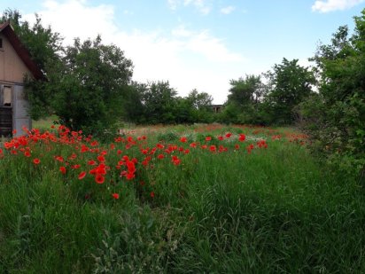 Продам земельну ділянку Шаровечівська сільська рада Шаровечка