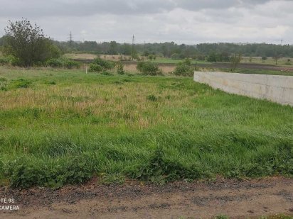 с. Олешин. Терміновий продаж земельної ділянки під будівництво