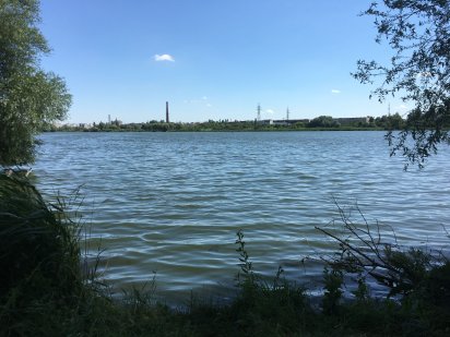 Ексклюзивна ділянка з виходом на Південний Буг Олешин