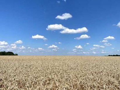 Продам земельну ділянку, с.Стуфчинці Стуфчинцы