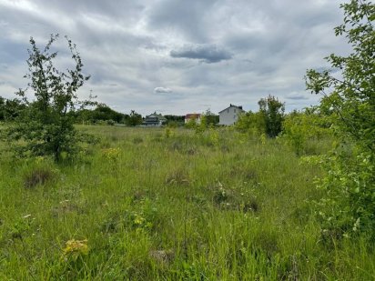 Земельна ділянка Давидківці