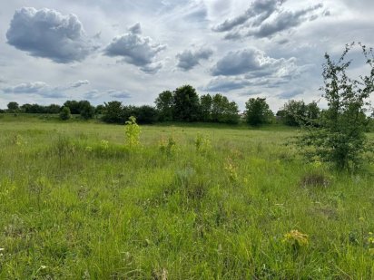 Продаж земельноі ділянки під будівництво Давидківці