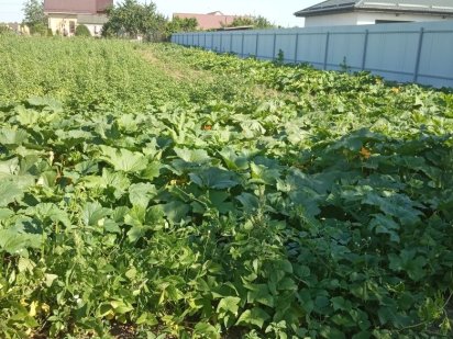 Земельна ділянка Красная Слобода