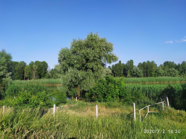 Продається ділянка під житлову забудову в селі Червона Слобода - фото 1