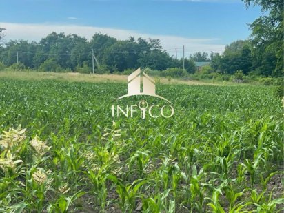 Продаж земельної ділянки в с. Руська Поляна