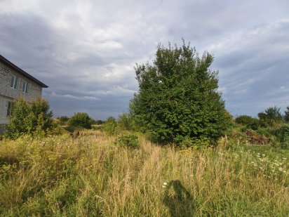 Земельна ділянка, с. Червона Слобода, вул. Філатова Красная Слобода
