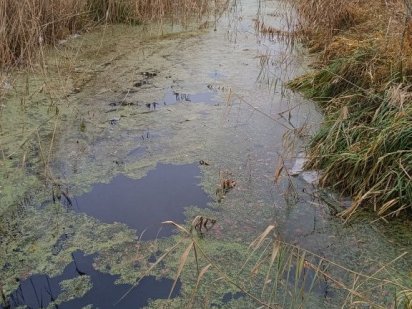 Центр. З виходом на канал. Свидівок