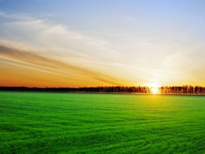 Продаж земельної ділянки. Царське село. Геронимівка. Вілла де люкс.