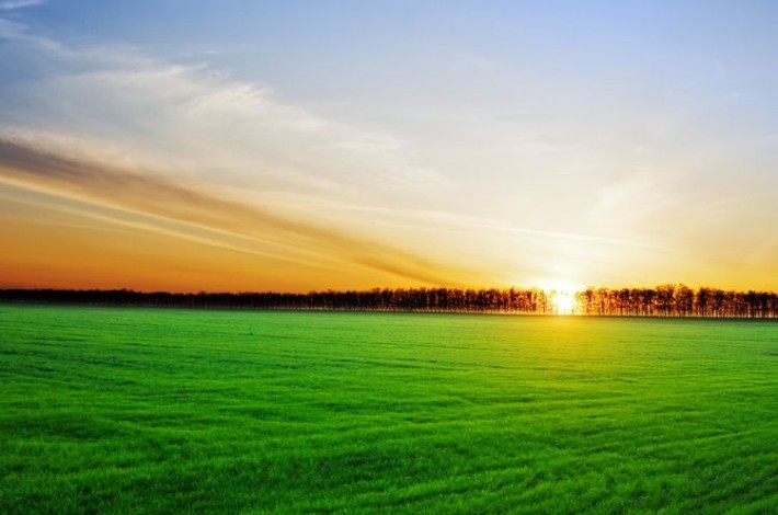 Продаж земельної ділянки. Царське село. Геронимівка. Вілла де люкс. - фото 1