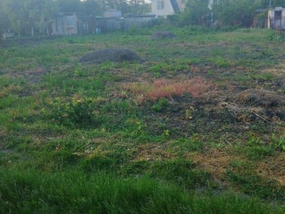 Продається земельна ділянка 6 соток у садовому товаристві КРИСТАЛ Благодатне