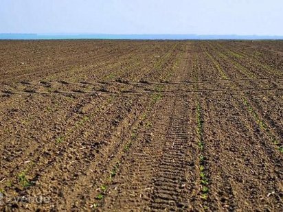 Земля,пай,чорнозем Шпола