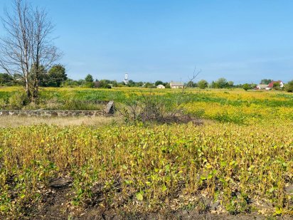 Продам земельну ділянку під забудову в центрі с.Мошни.