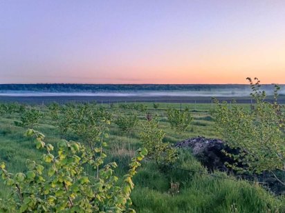 Земельна ділянка для ведення ОСГ 0,5 га