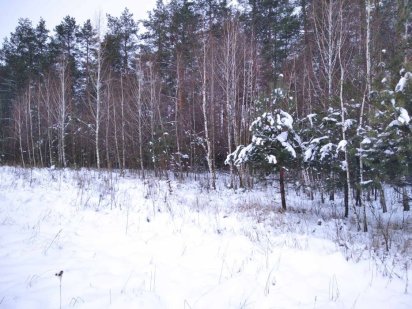 Земельный участок 10 соток в Киенке Киенка