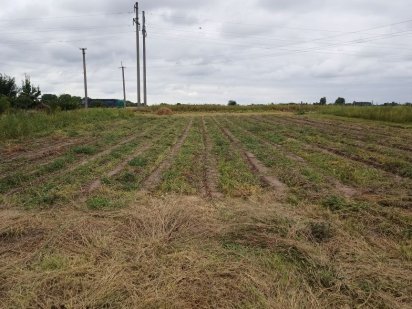 Земельна ділянка (під забудову) Козелец