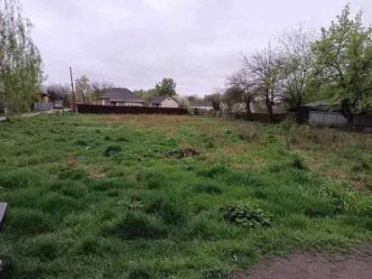 Продам земельну ділянку Борзна